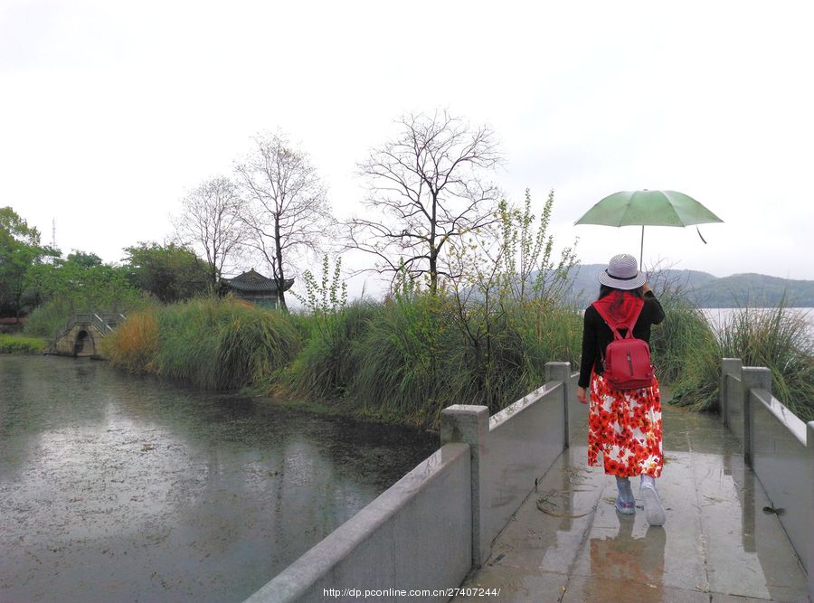 【雨中漫步楠竹林摄影图片】黄石风光摄影_太平洋电脑网摄影部落