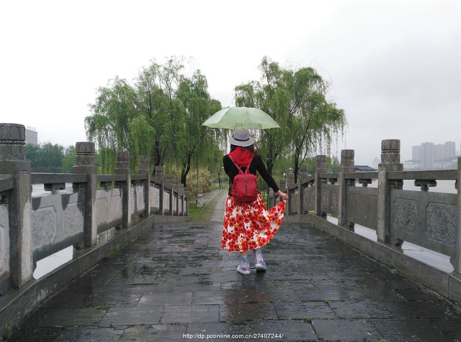 雨中漫步楠竹林