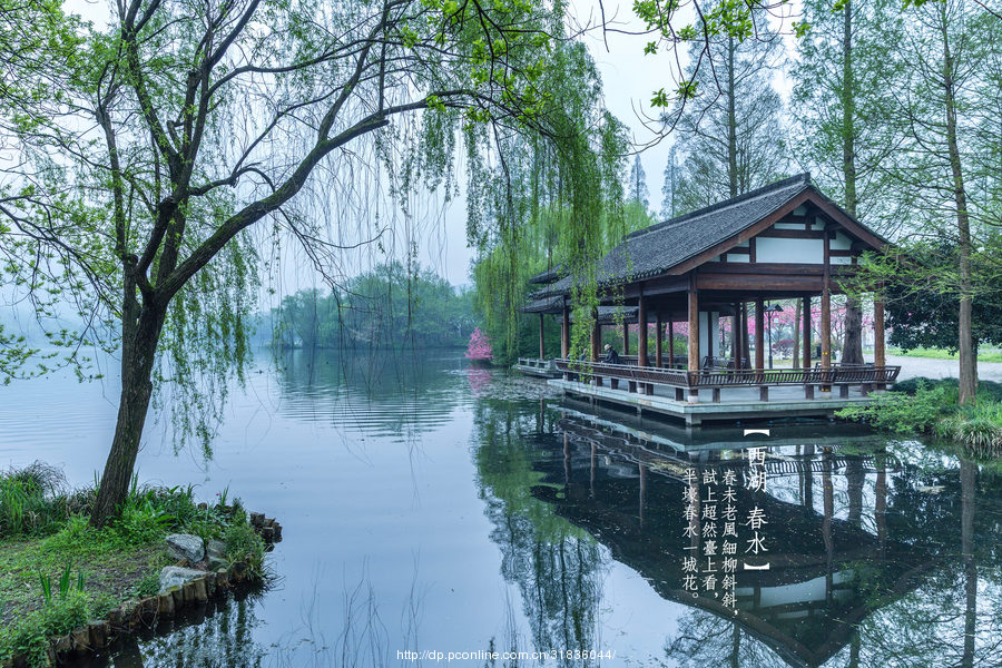 西湖春水