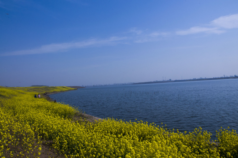 北湖春日