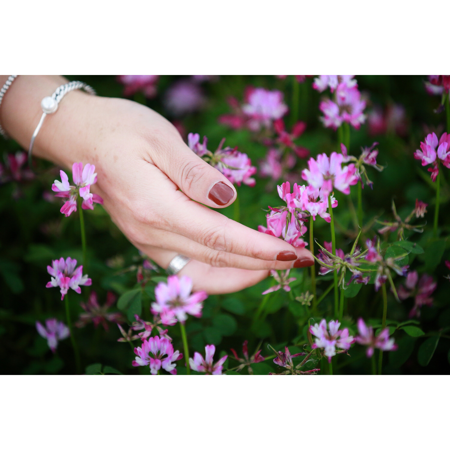 陌上花开