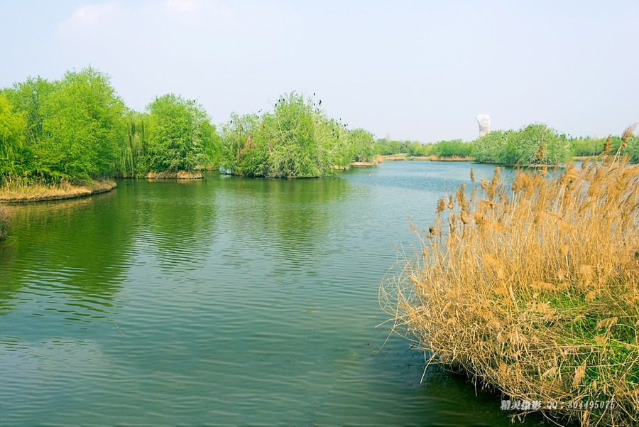 西安浐灞湿地公园
