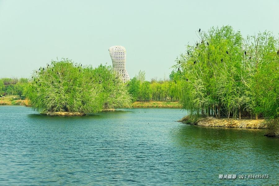 西安浐灞湿地公园