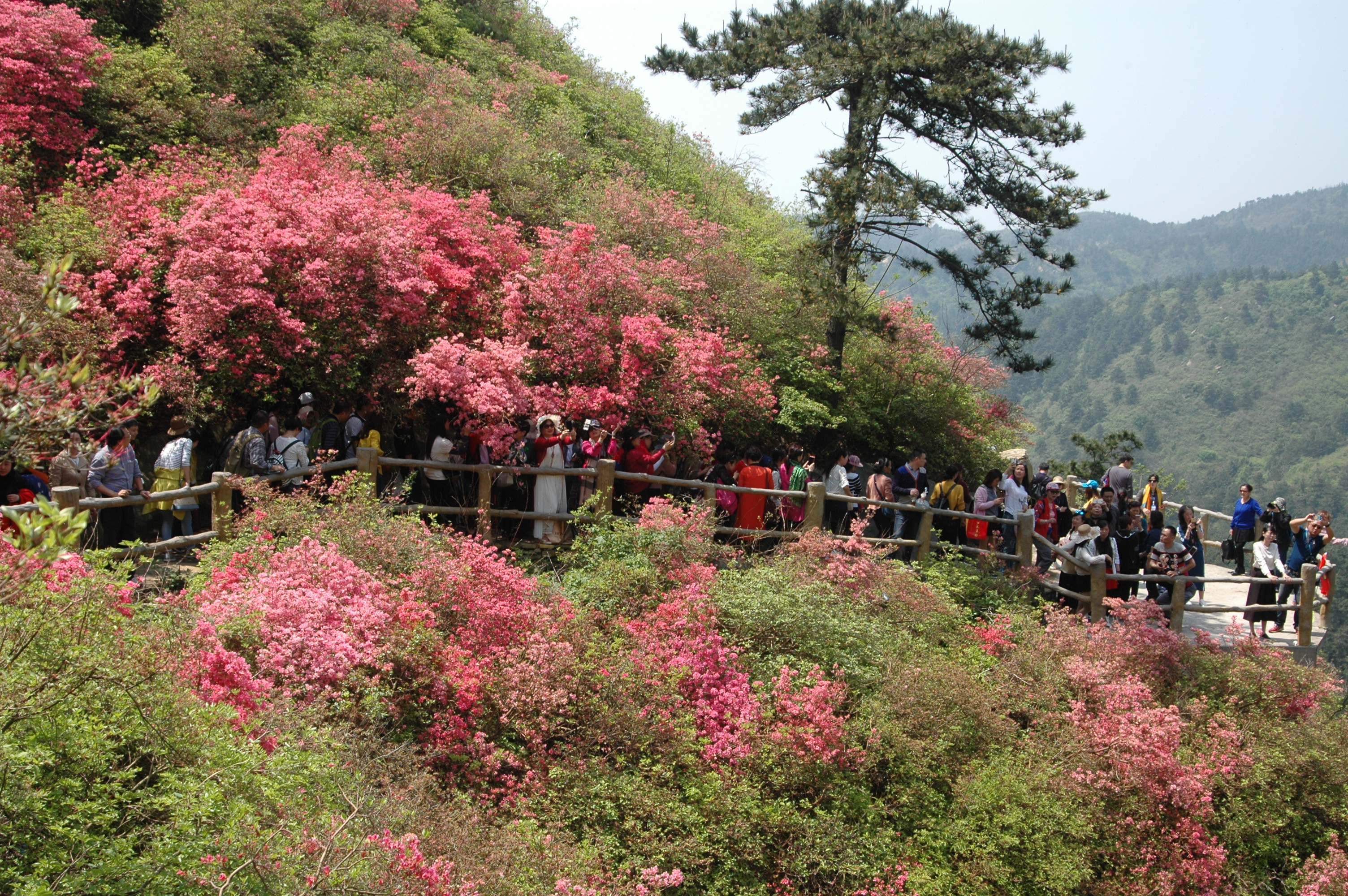 武汉市黄陂区木兰云雾山