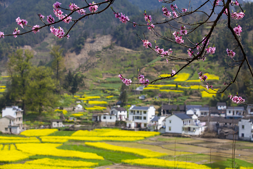 四月花海