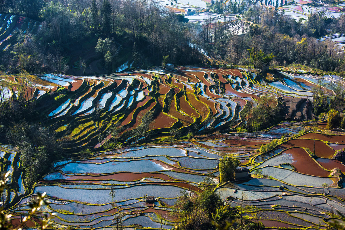 老鹰嘴梯田