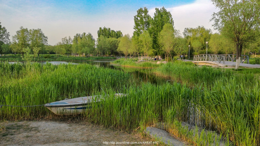 【奥森公园生态摄影图片】北京奥森公园生态摄
