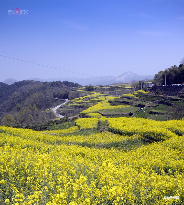 田园春色