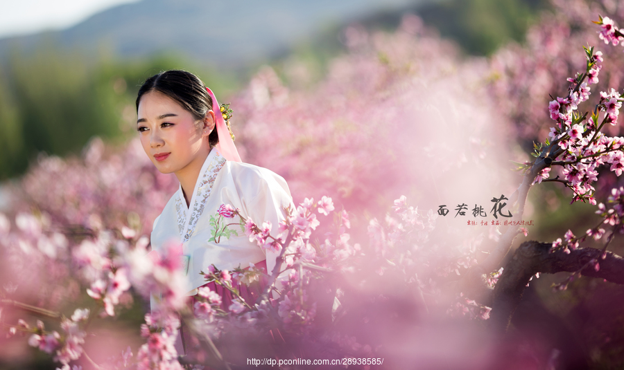 面若桃花_人像摄影论坛_太平洋电脑网产品论坛