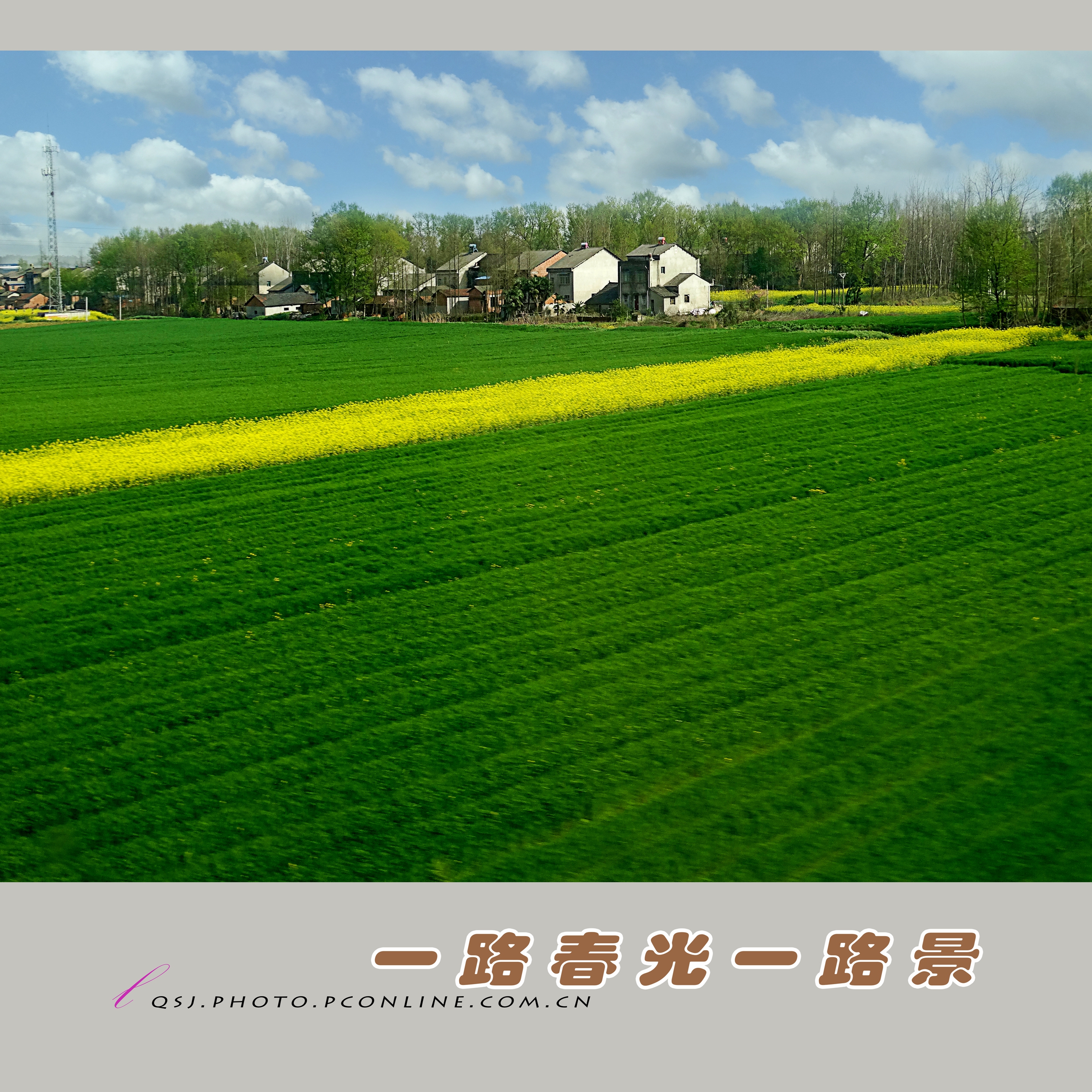 一路春光一路景