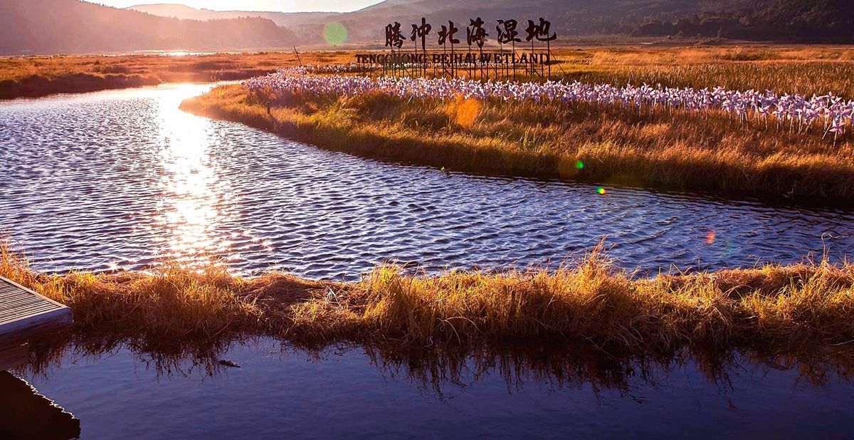 腾冲北海湿地