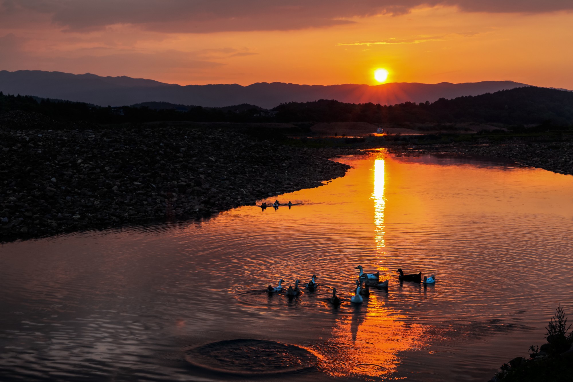 夕阳唯见水东流