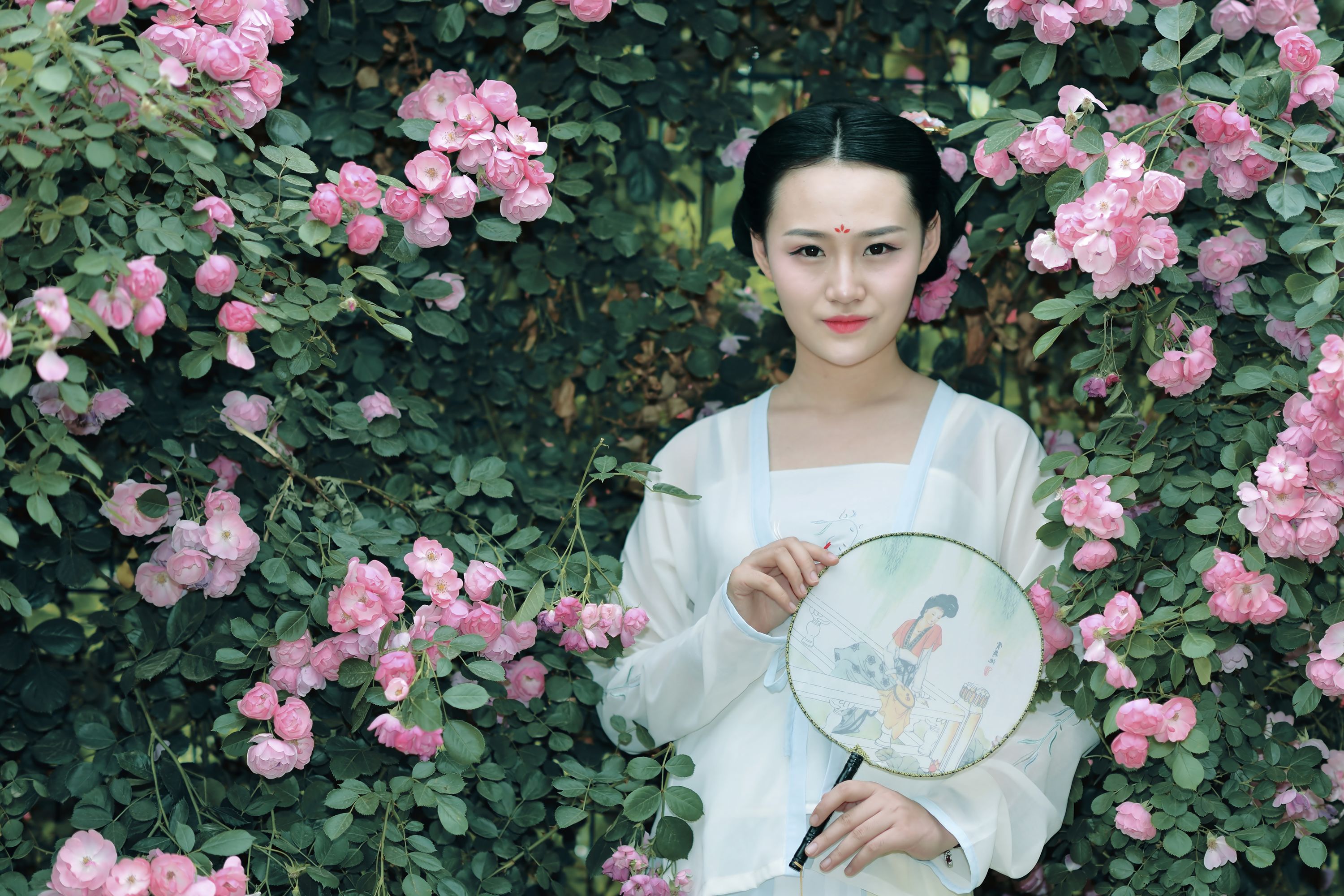 【蔷薇摄影图片】人像摄影_西安老吴_太平洋电脑网