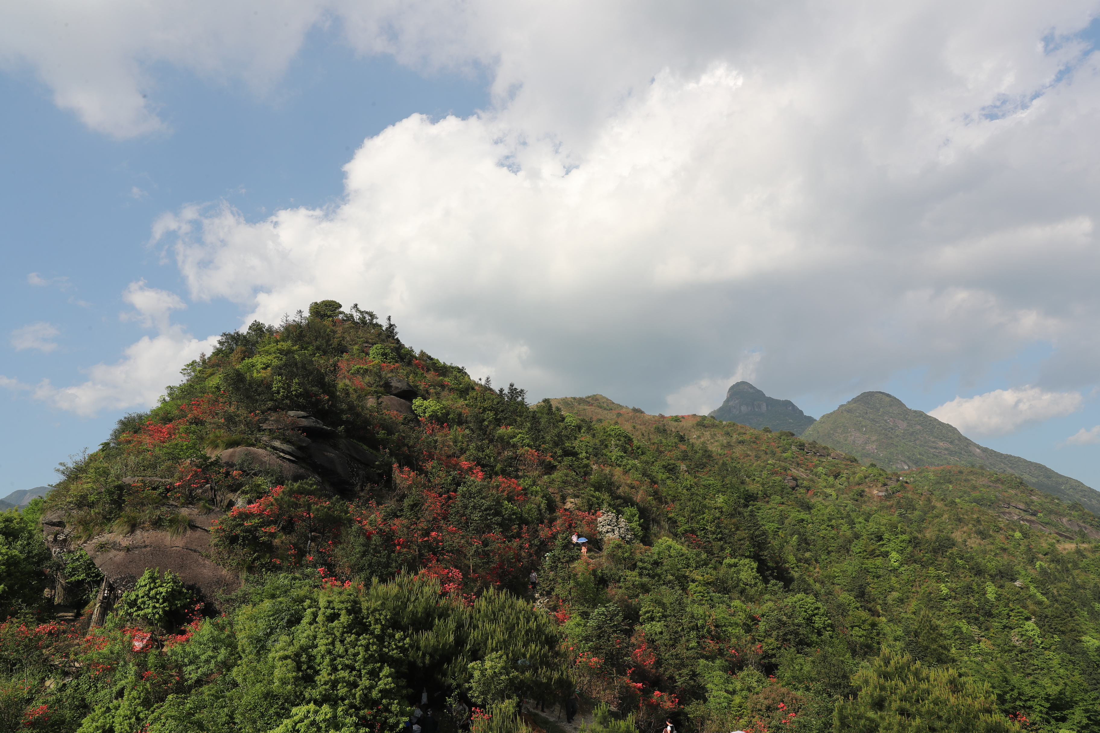 元宝山田园风光与高山杜鹃花