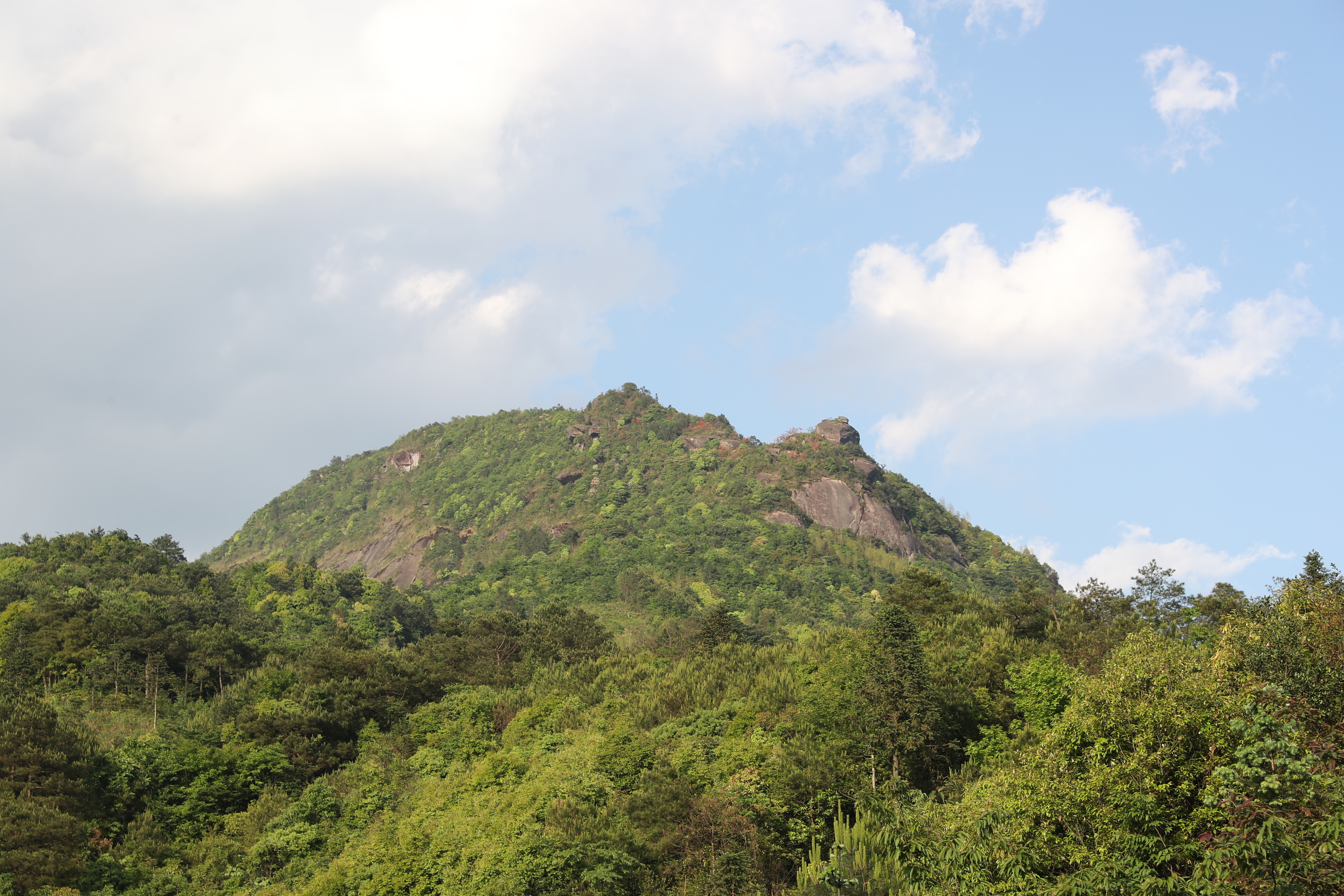 元宝山田园风光与高山杜鹃花