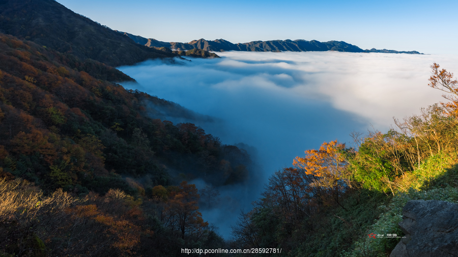 金紫山之层林尽染叠翠流金