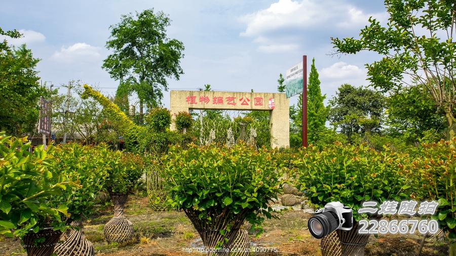 寿安植物编艺公园位于成都市温江区寿安镇天星村,天源村,团结桥社区.