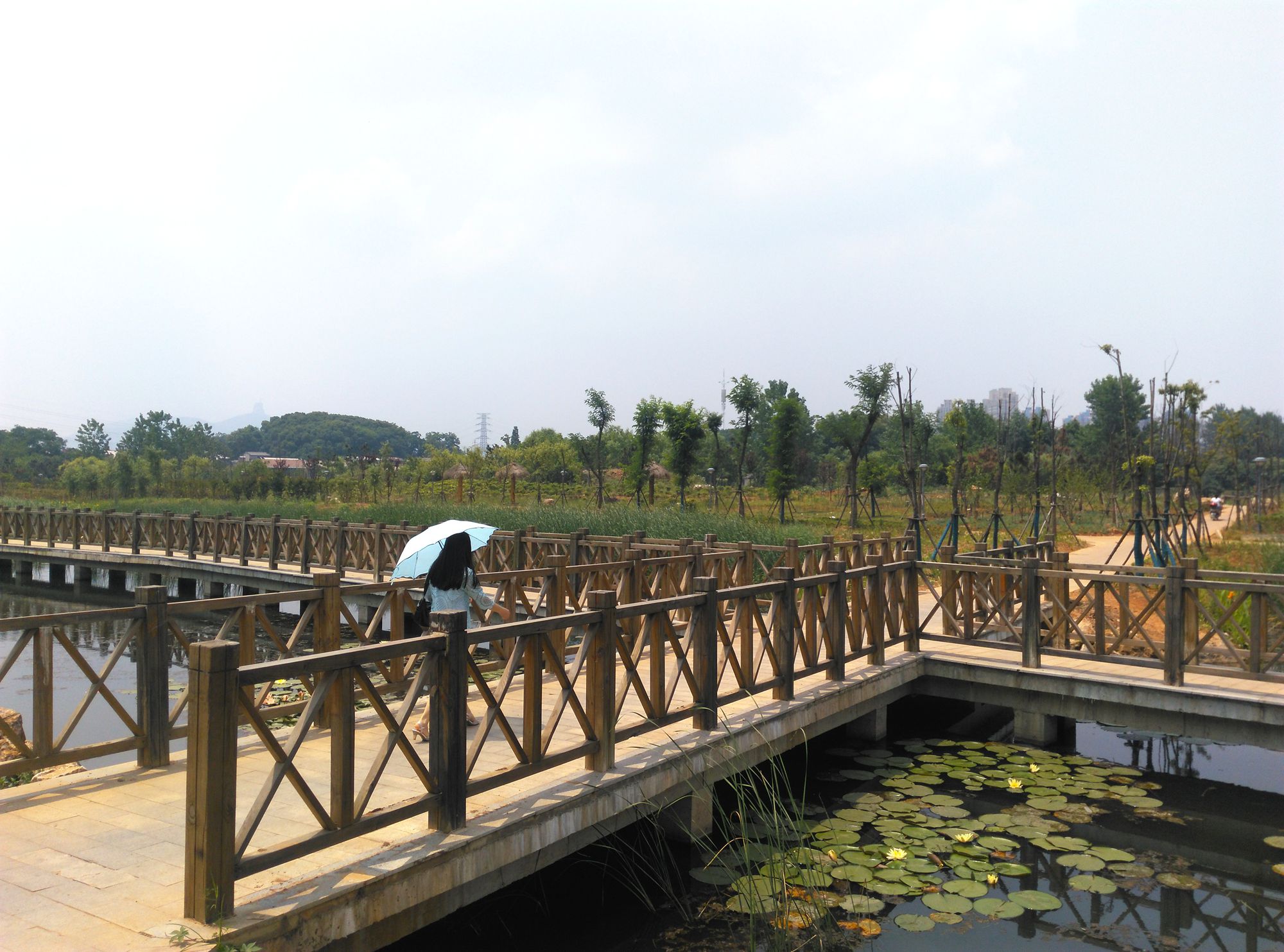 黄石湿地公园