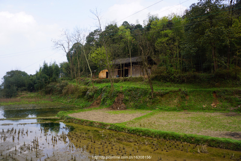 追寻那乡土气息 (共p)