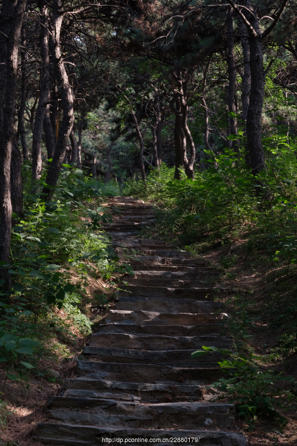 山间小路