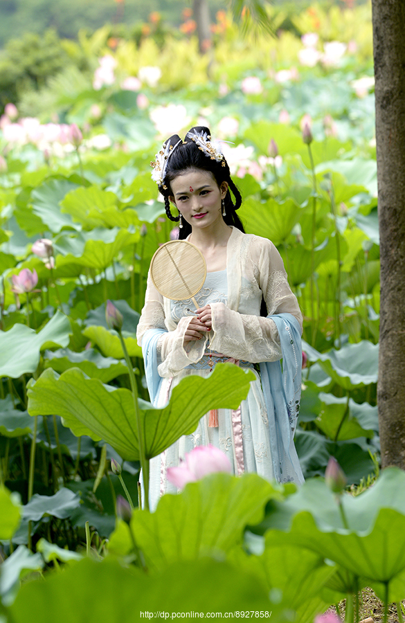 荷花仙女