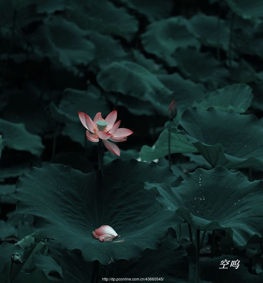 2017冷色调