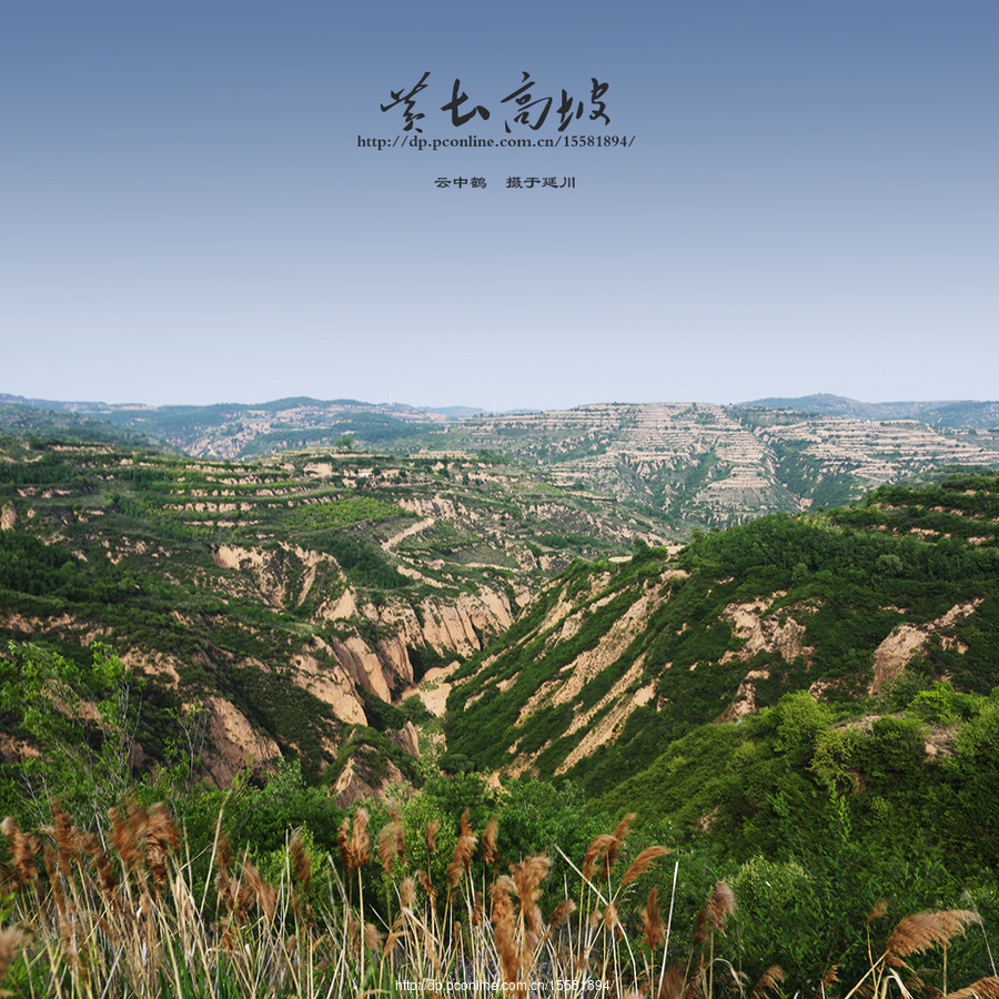 黄土高坡