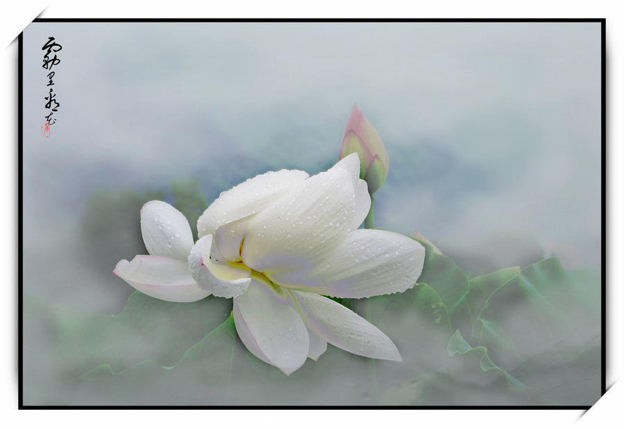 雾里看花
