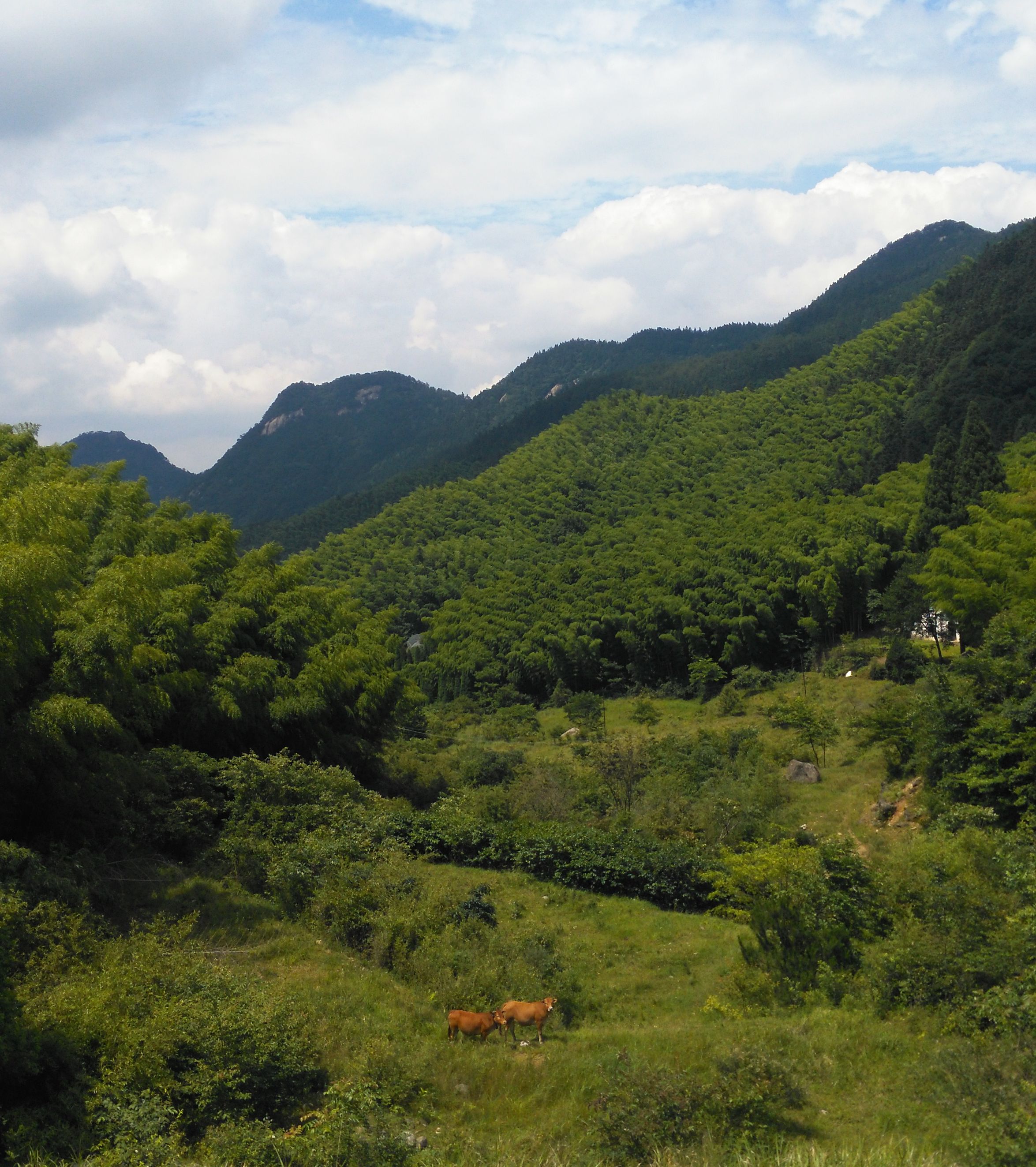 三角山国家森林公园(一)