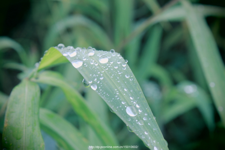 创意(四一三):雨珠