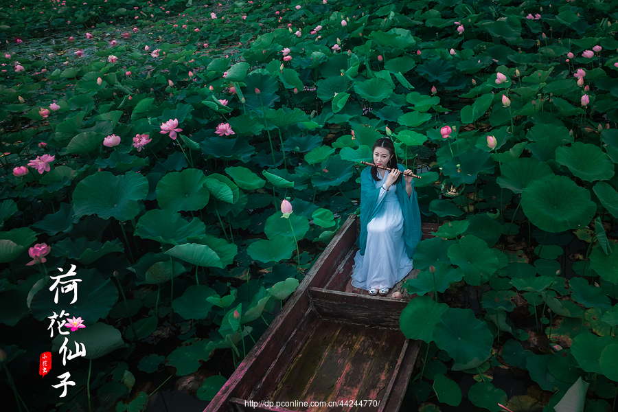 《荷花仙子》 (共p)