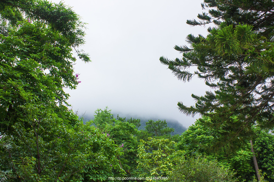 p31:从化风景