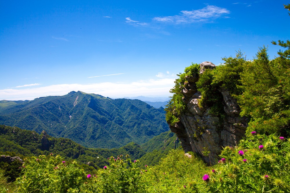 秦岭光头山风光