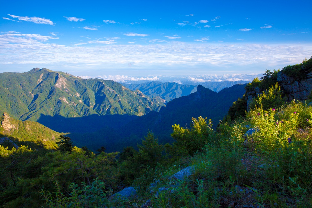 秦岭光头山风光