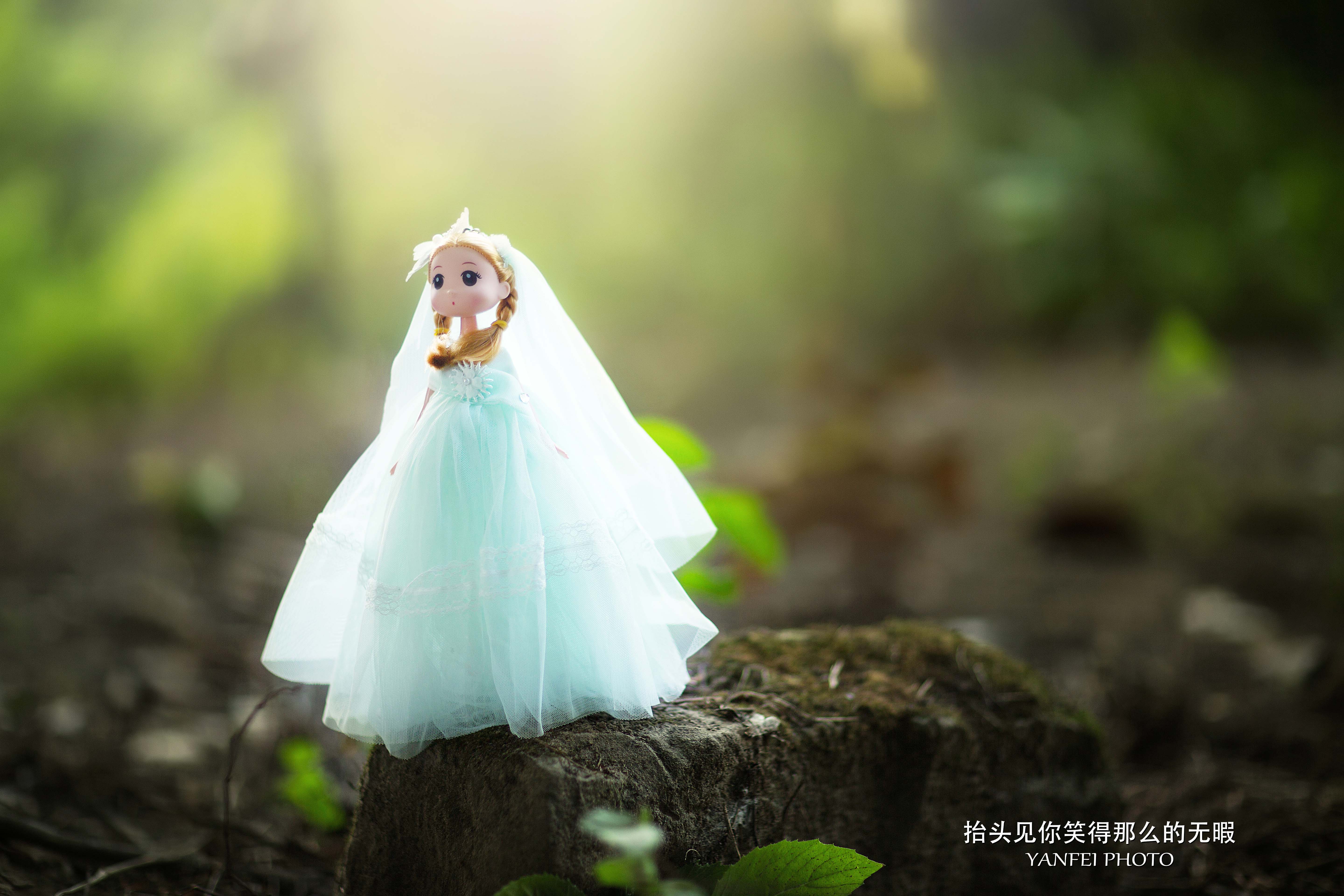 小小新娘花