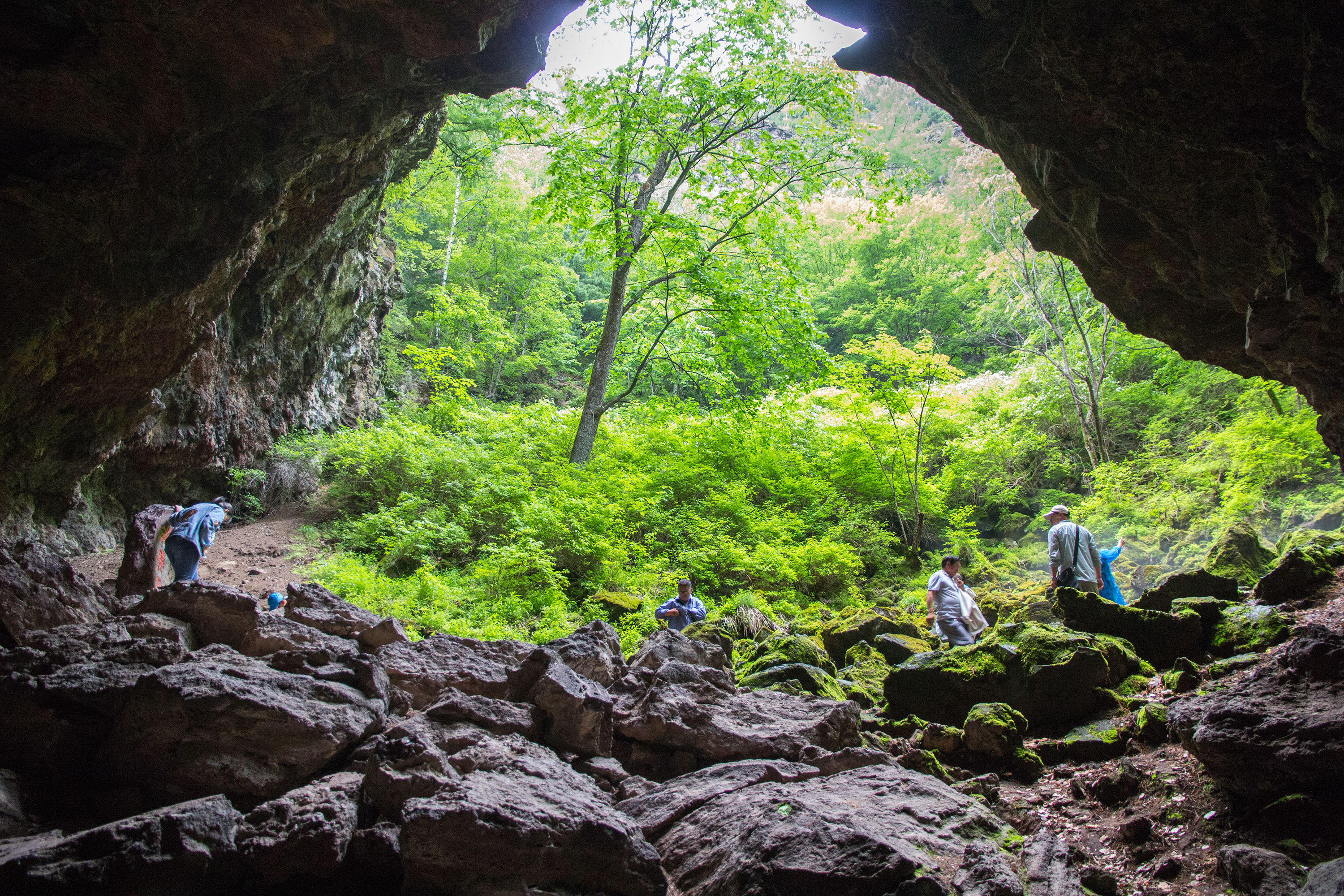 火山口地下森林