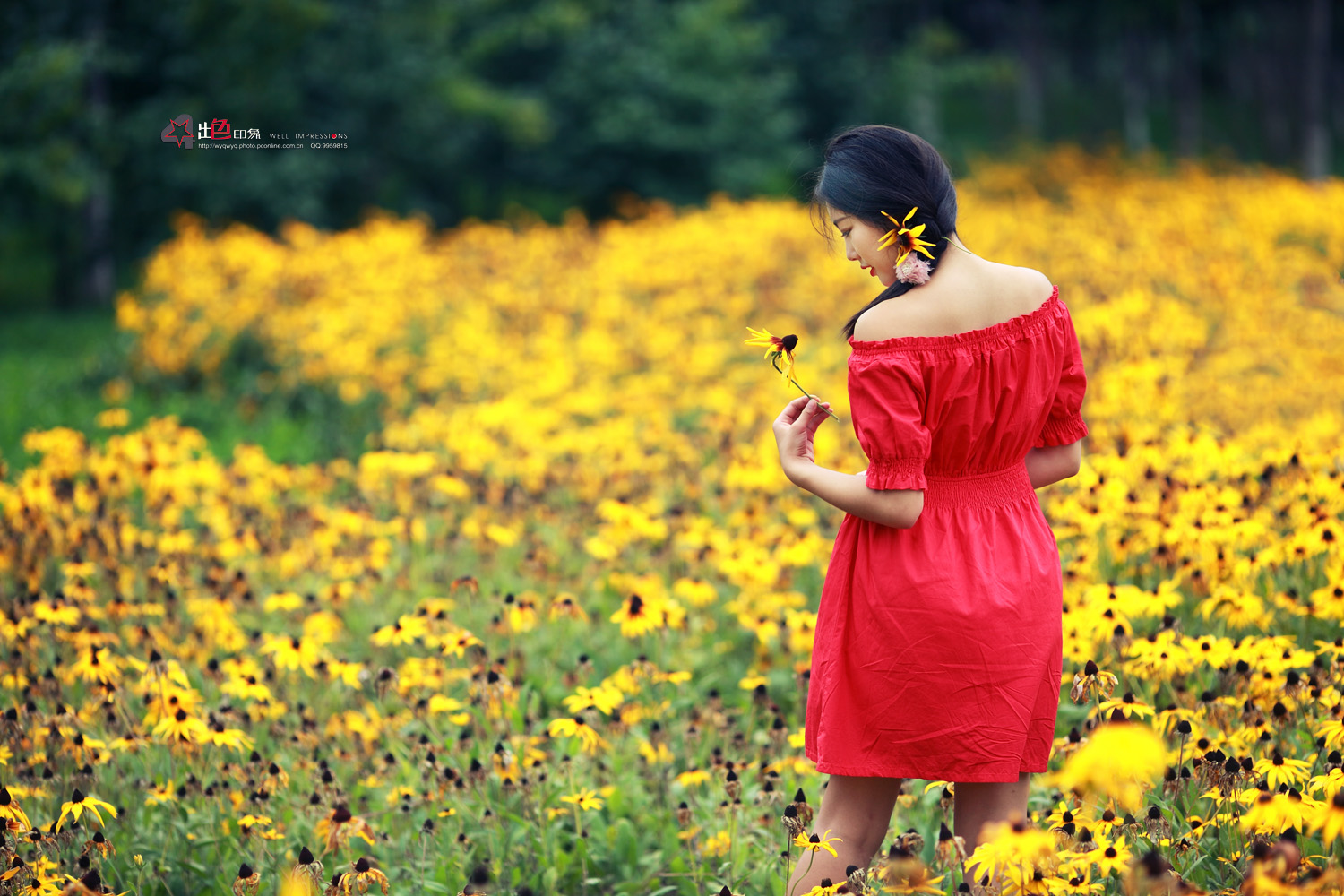 黄花闺女