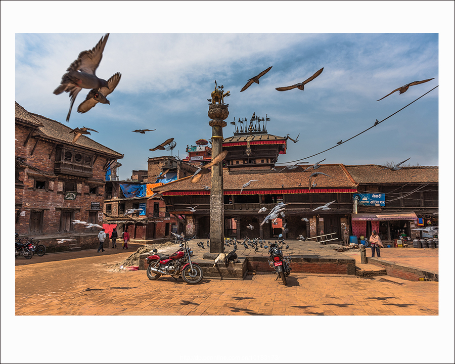【行摄尼泊尔11---到杜巴广场喂鸽子摄影图片