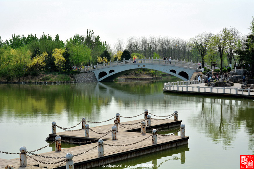 塘沽森林公园美景