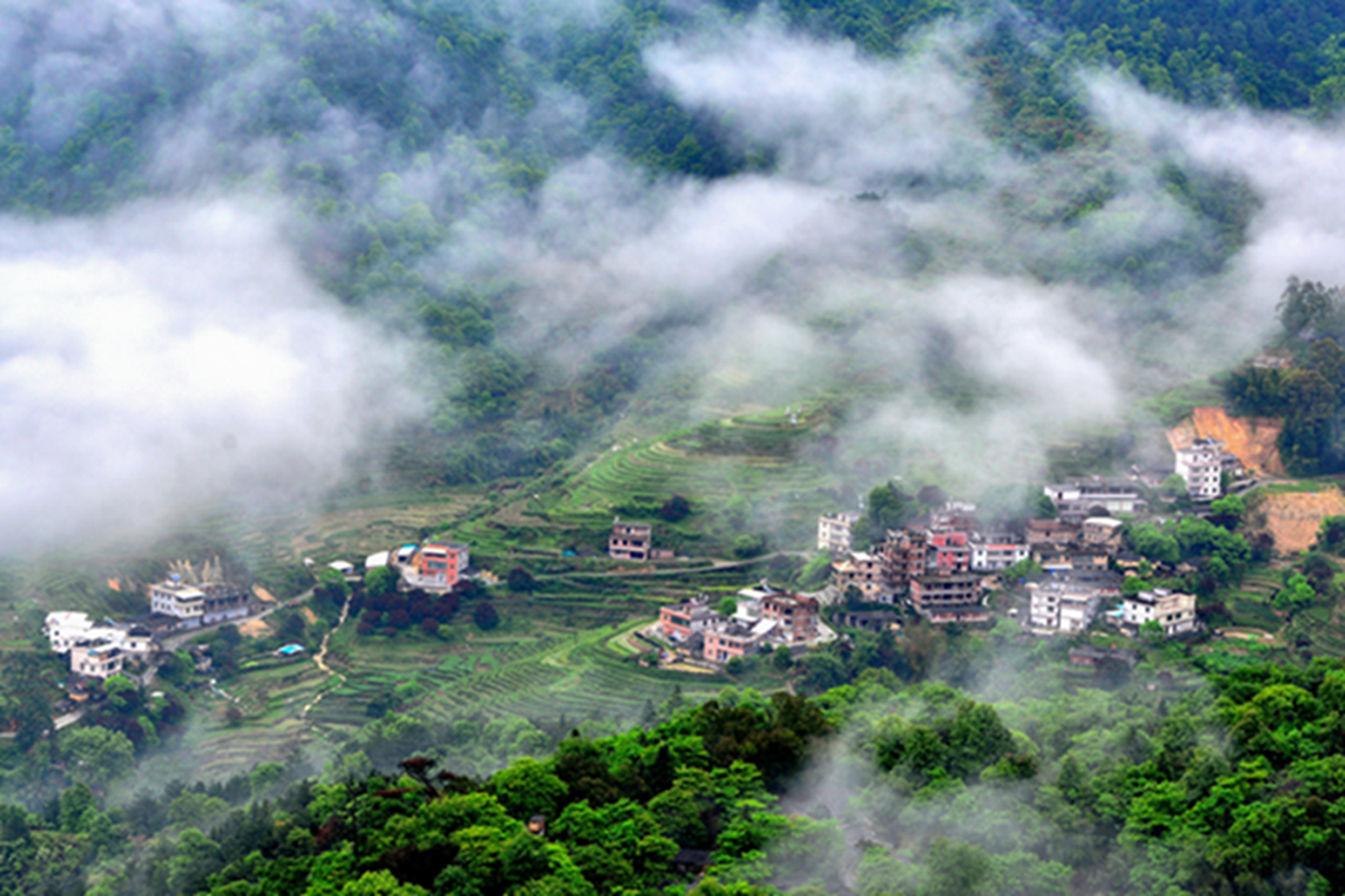 雾漫小山村