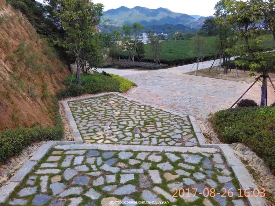 安溪溪禾山铁观音文化园