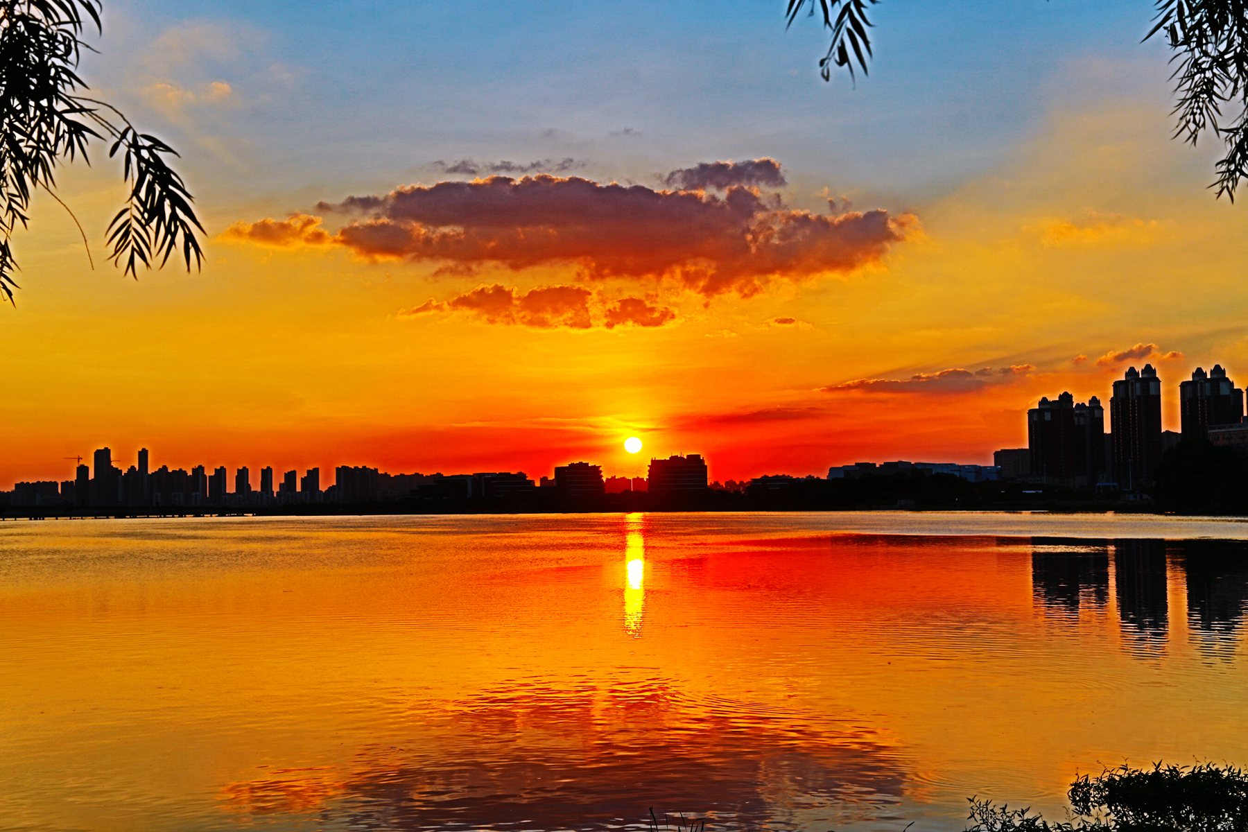 七夕有约夕阳美