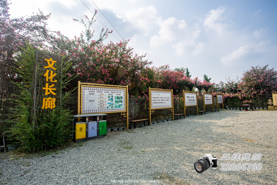 寿安植物编艺公园的春秋——笑看紫薇繁花似锦 惊艳满园落英缤纷