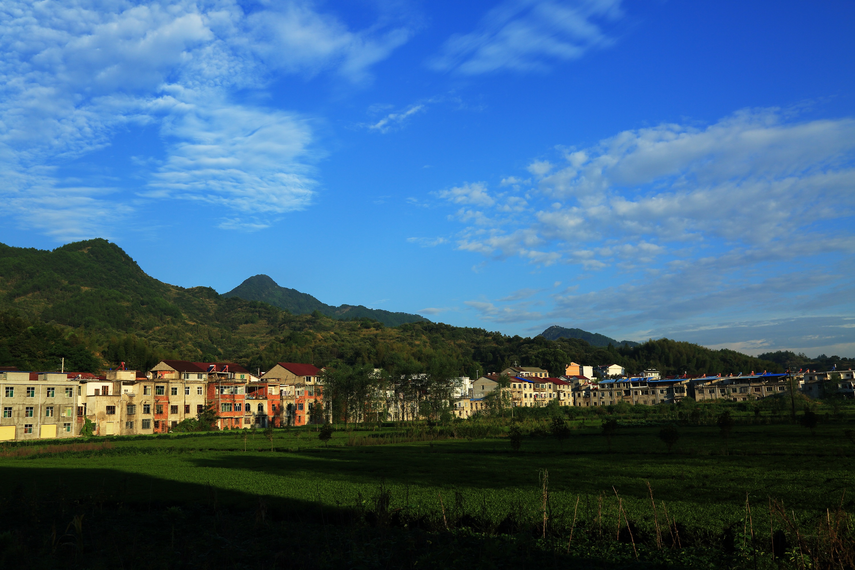 美丽乡村,希望田野