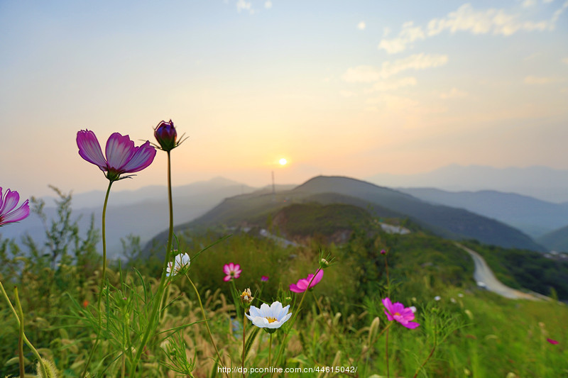 山野晚霞