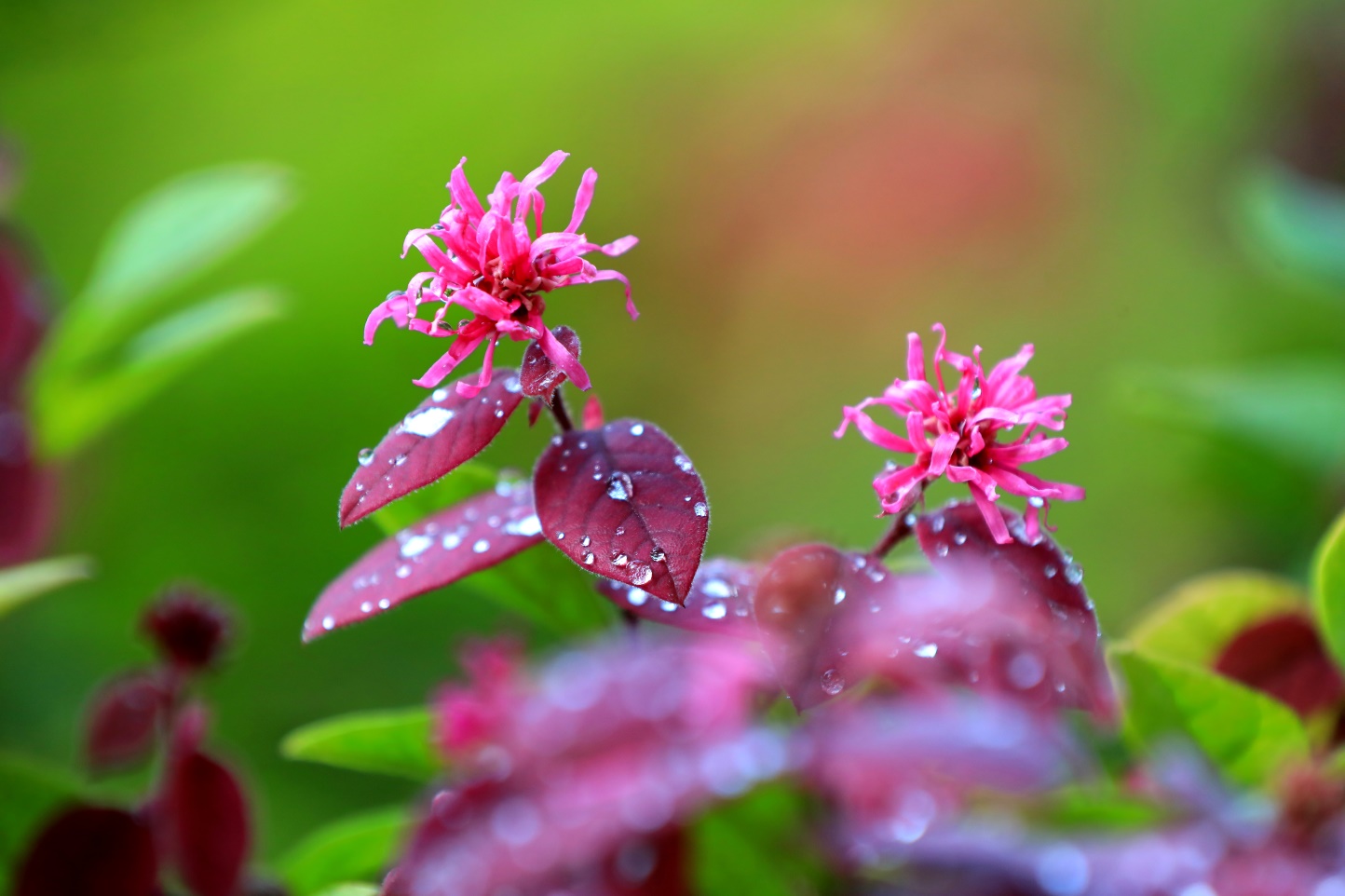 雨停了