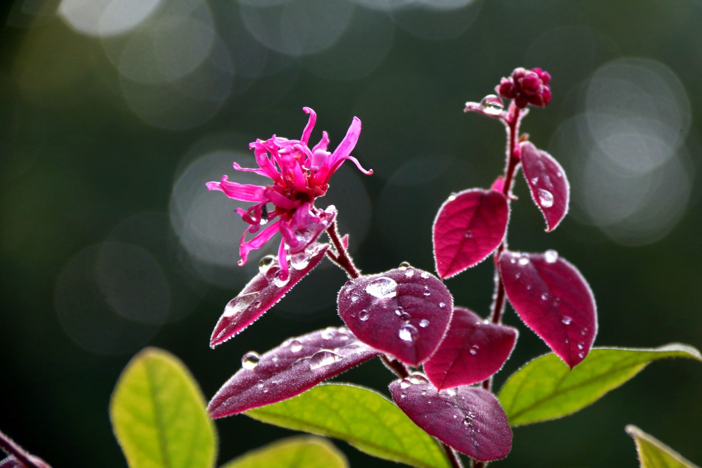 雨停了