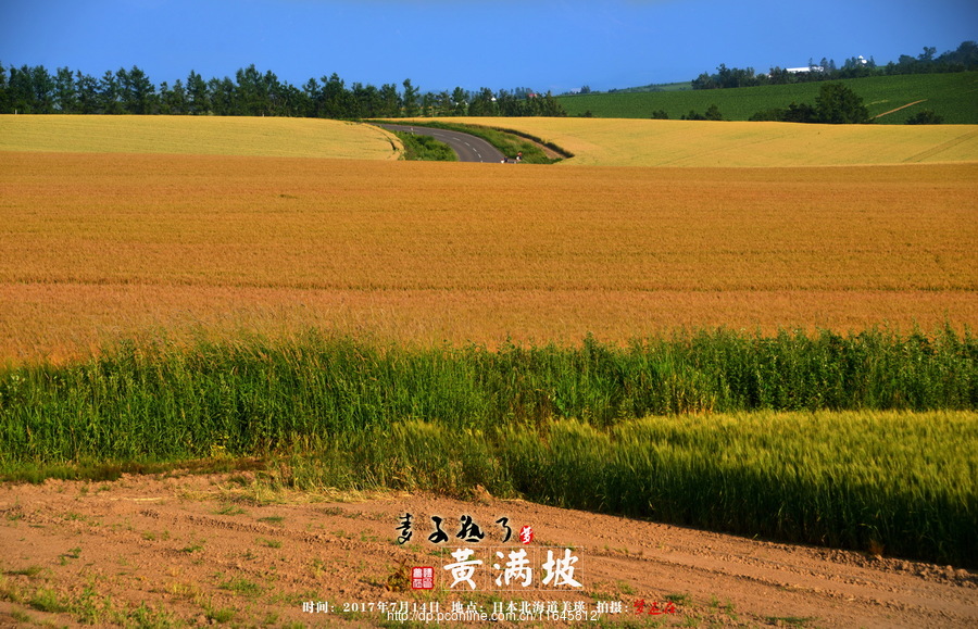 摄影部落