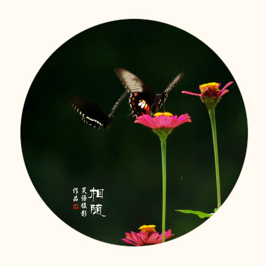 相随