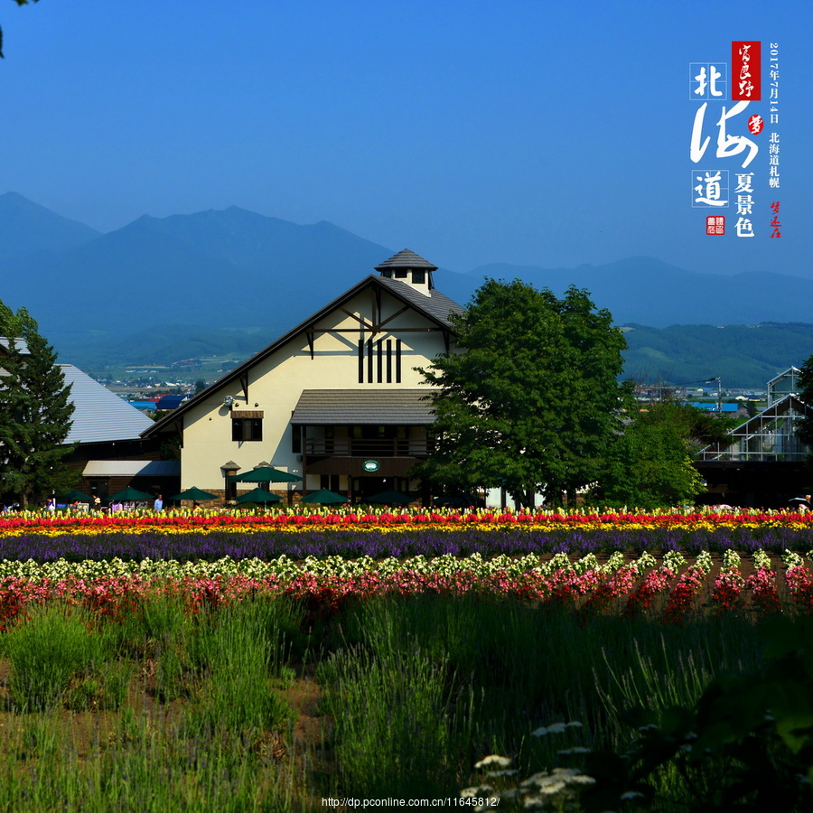 北海道夏景色